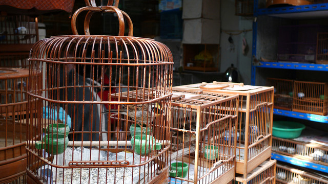 花鳥市場 鳥籠 文玩 百姓生活