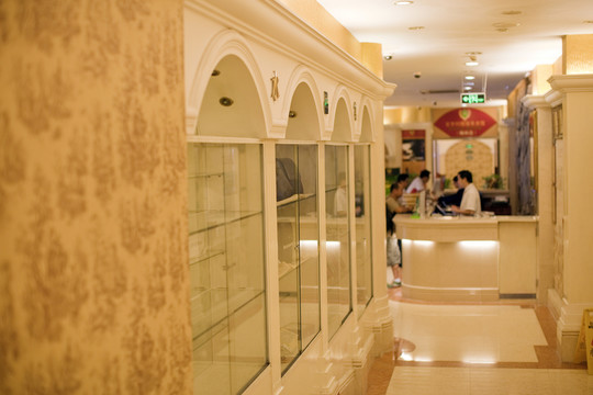 酒店裝飾 室內(nèi) 酒店賓館 現(xiàn)代