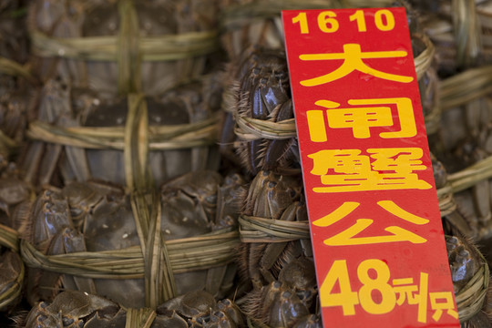 大閘蟹 海鮮 美食 螃蟹 餐飲