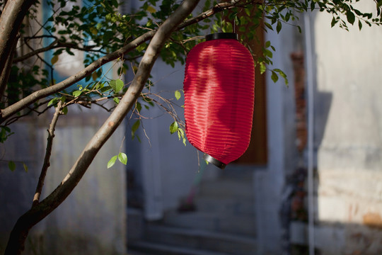 蘇州 陸巷古村 傳統(tǒng)建筑 古跡