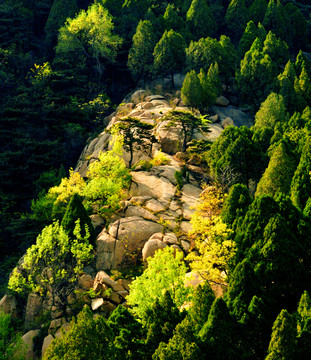 大山春色