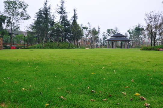 公園綠地