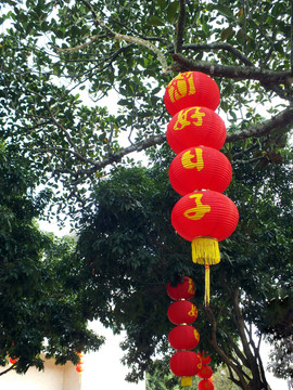 一串紅燈籠