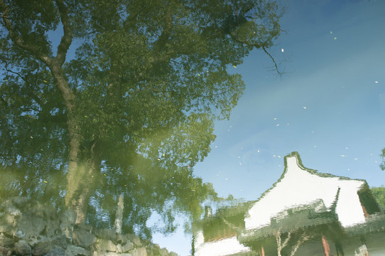 園林倒影