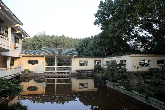 庭院景觀