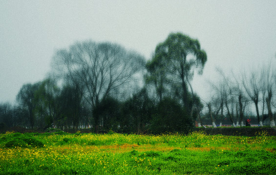 清明時(shí)節(jié)
