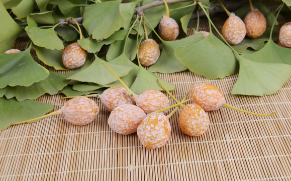 白果