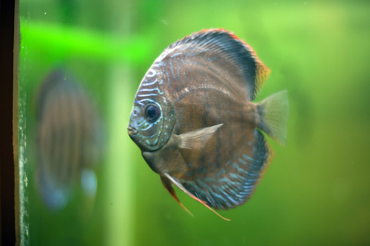 海底世界 海洋生物 長(zhǎng)風(fēng)公園