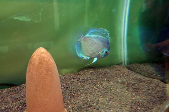 海底世界 海洋生物 長(zhǎng)風(fēng)公園