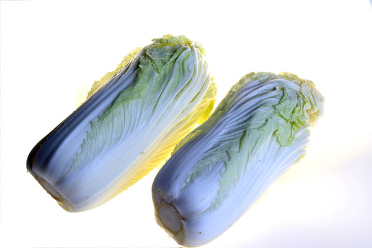 白菜