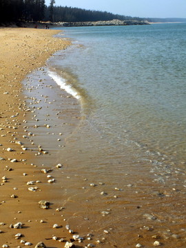 海岸