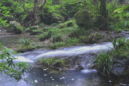 池塘 流水