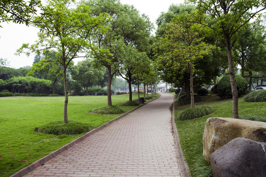 上海野生動物園 戶外 旅游景點