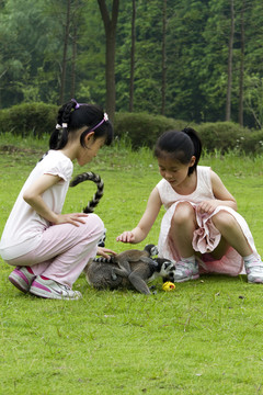 猴子 狐猴  上海野生動(dòng)物園
