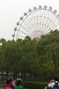 上海野生動(dòng)物園 戶外 旅游景點(diǎn)