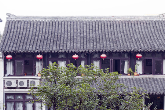 越園 吳越文化 園林 中式園林