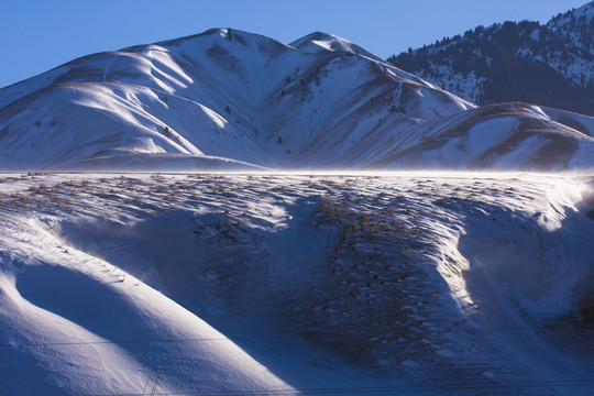 高原 雪山