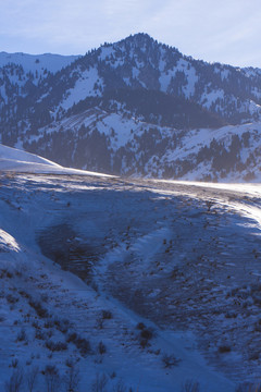 雪山 高原