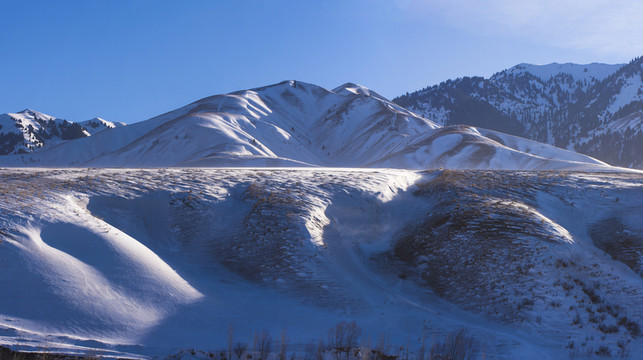 高原 積雪