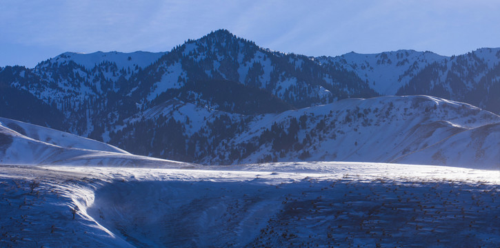 雪山 高原