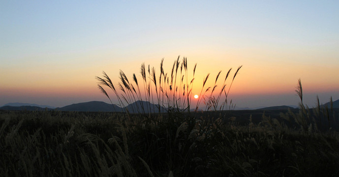 夕陽無限好