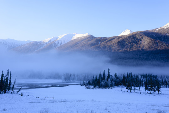 雪山 森林