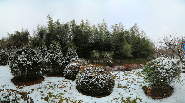 濟(jì)南的雪景