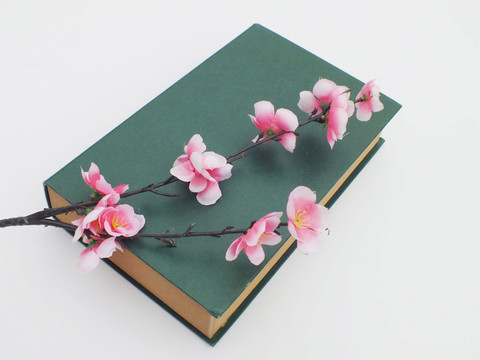 桃花和書本