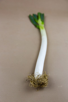 蔬菜 一根大蔥