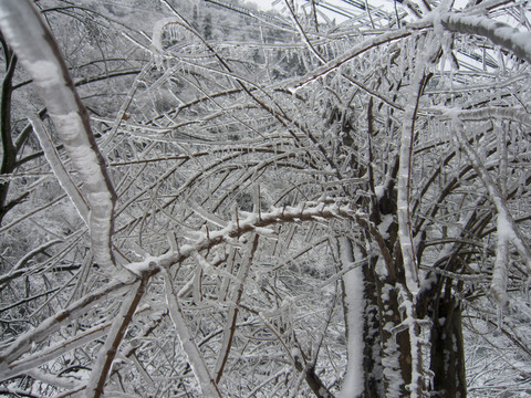 山上的雪