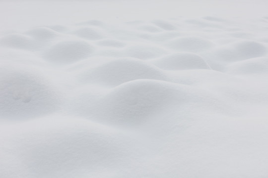 冬雪