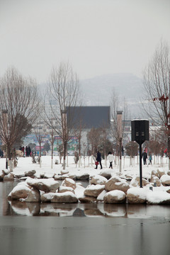 雪景