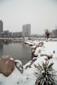 雪景