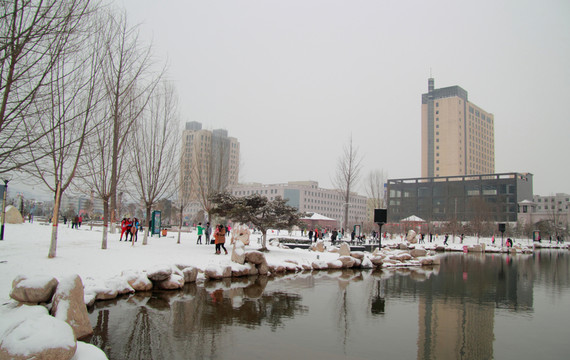 雪景