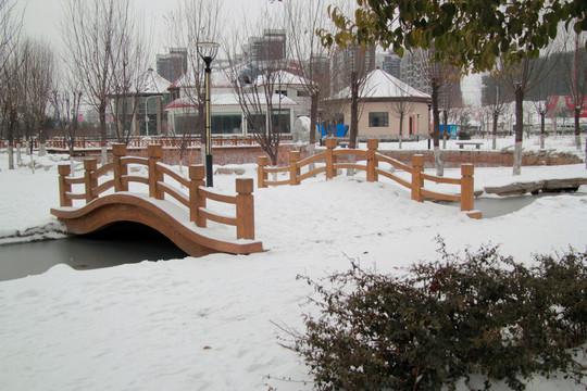 雪景