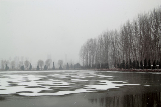 雪景