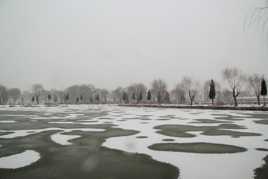 雪景
