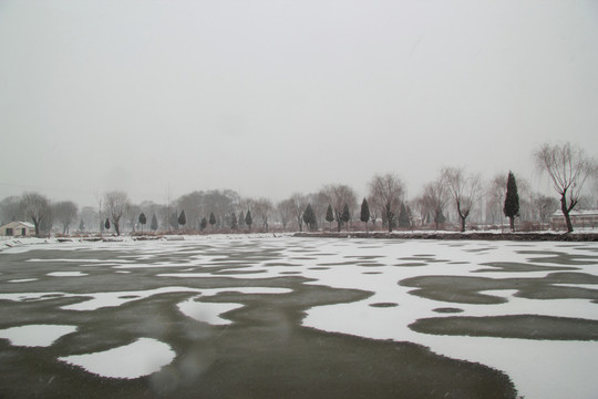 雪景