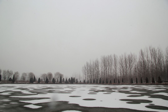 風(fēng)景