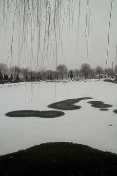 雪景