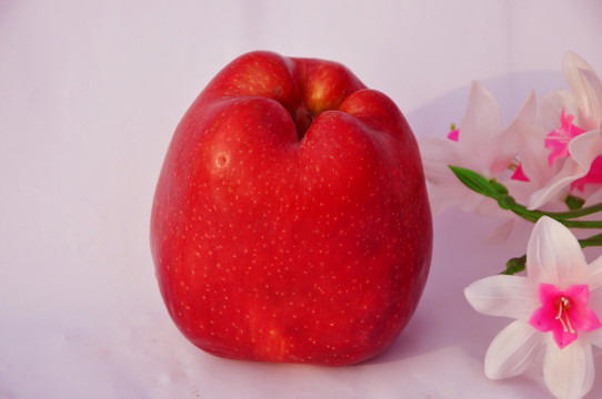 蘋(píng)果