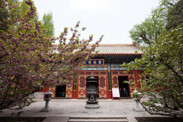寺廟大殿