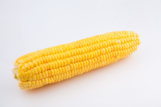 玉米