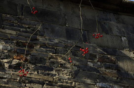 滁州老城古老砖墙