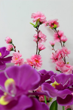 桃花