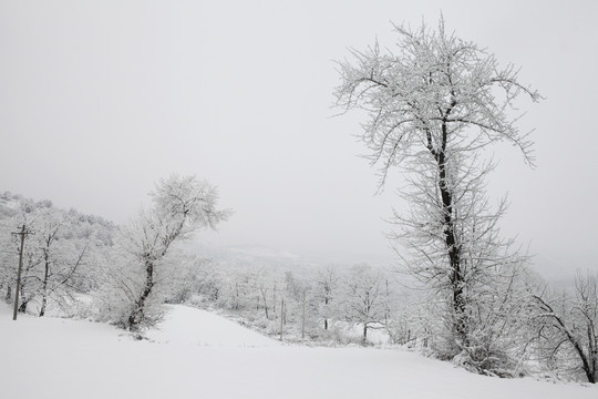 雪景