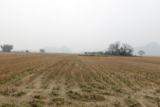 冬閑的田地