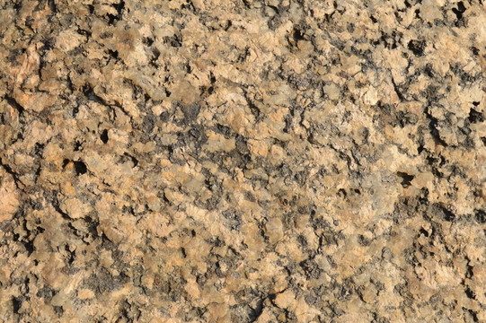 石紋