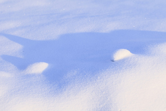 冬雪