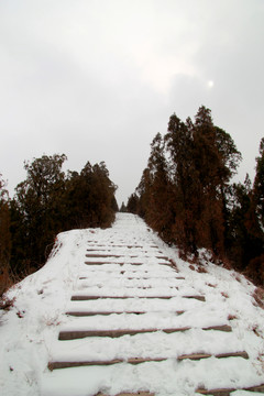 雪景